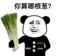 你算哪根葱？