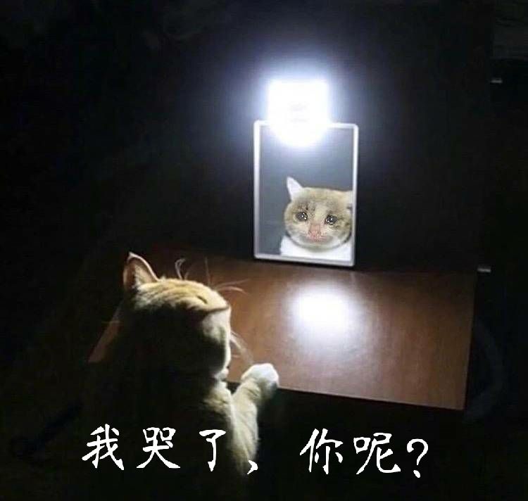 我哭了你呢？