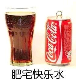 肥宅快乐水