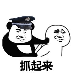 抓起来