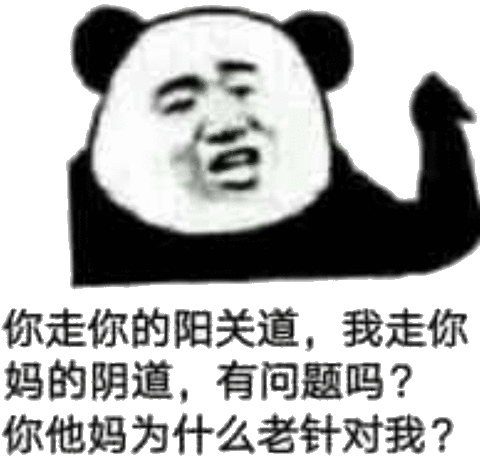 你走你的阳关道，我走你妈的阴道，有问题吗？你他妈为什么老针对我？