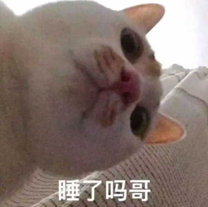 睡了吗哥