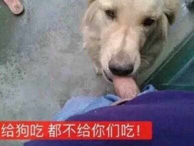 给狗吃都不给你们吃！