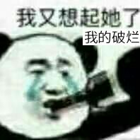 我又想起她我的破烂