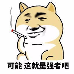 可能这就是强者吧