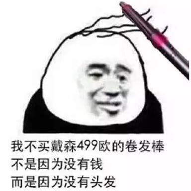 我不买戴森499欧的卷发棒，不是因为没有钱而是因为没有头发