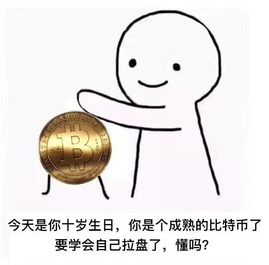 今天是你十岁生日，你是个成熟的比特币了要学会自己拉盘了，懂吗？