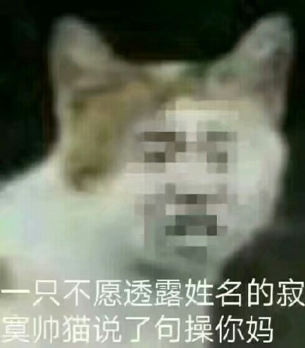 只不愿透露姓名的寂帅猫说了包操你妈