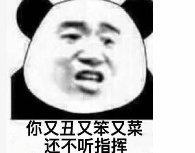 你又丑又笨又菜还不听指挥