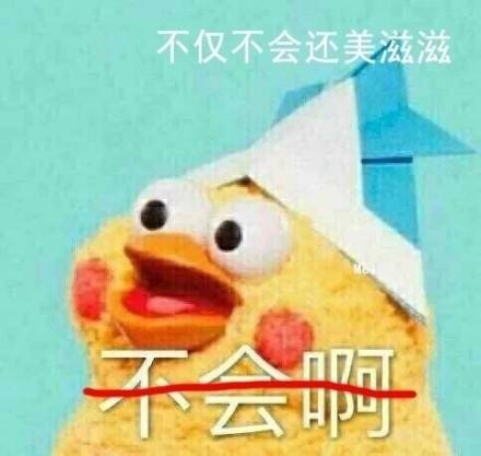 不会啊