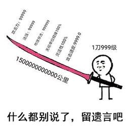 什么都别说了，留遗言吧