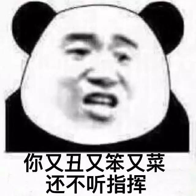 你又丑又笨又菜还不听指挥