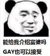 能给我介绍富婆吗？GAY也可以接受