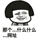 那个什么什么网址