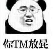 你TM放屁