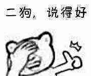 二狗，说得好