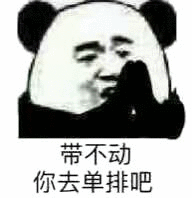 带不动你去单排吧