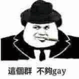 這個群不夠gay