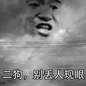 二狗。别丢人现眼