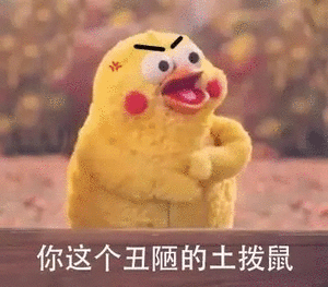 你这个丑陋的土拨鼠