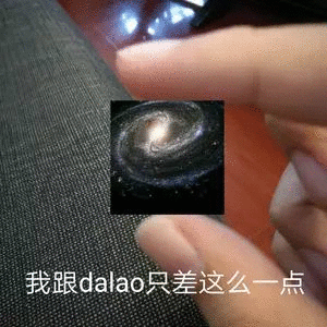 我跟dalao只差这么一点了