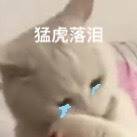 猛虎落泪