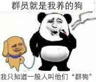 群员就是我养的狗，我只知道一股人叫他们“群狗”