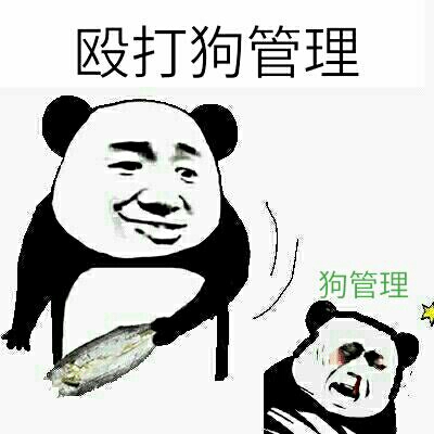 殴打狗管理狗管理