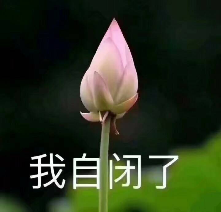 我自闭了