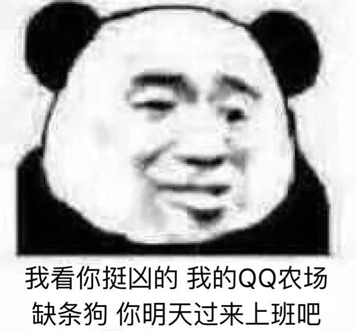 我看你挺凶的，我的QQ农场缺条狗，你明天过来上班吧