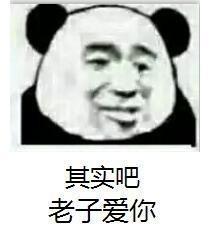 其实吧，老子爱你