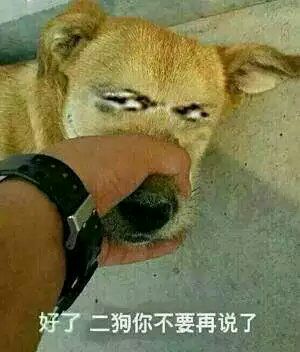 好了，二狗你不要再说了