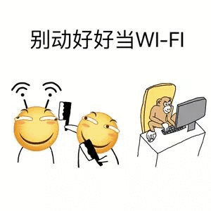 别动好好当WIFI