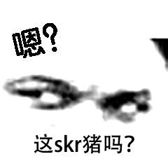 这skr猪吗？