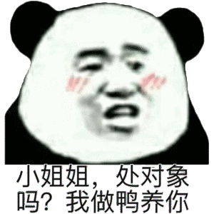 小姐姐，处对象吗？我做鸭养你