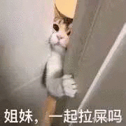 姐妹，一起拉屎吗