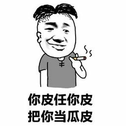 你皮任你皮，把你当瓜皮