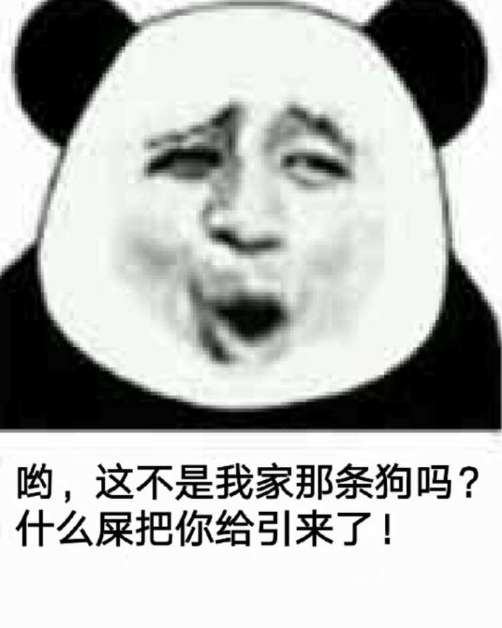 哟，这不是我家那条狗吗？什么屎把你给引来了！