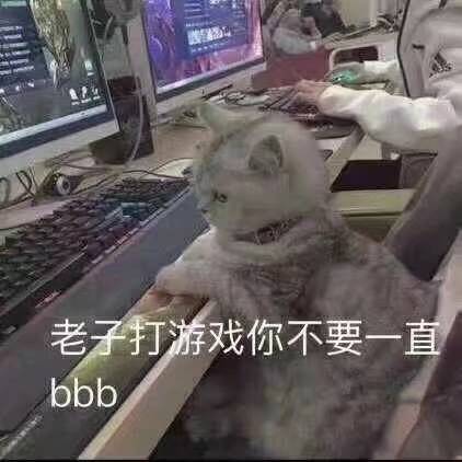 老子打游戏，你不要一直bbb