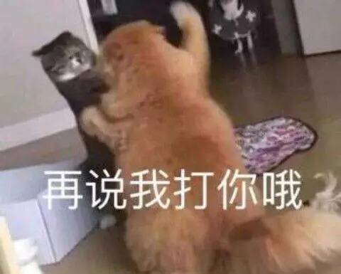 再说我打你哦