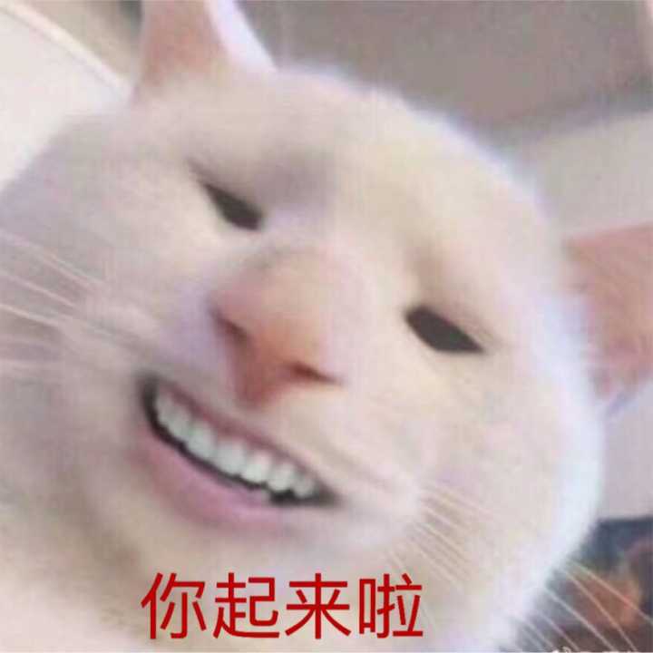 你起来啦