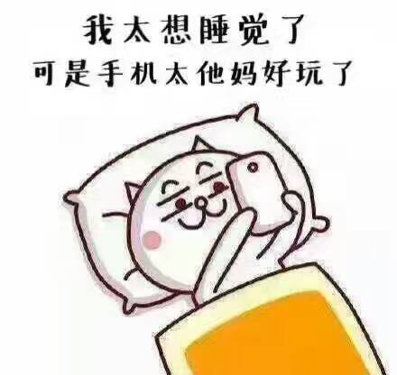 我太想睡觉了，可是手机太他妈好玩了