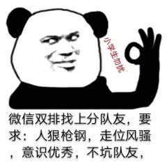 微信双排找上分队友，要求：人狠枪钢，走位风骚意识优秀，不坑队友，