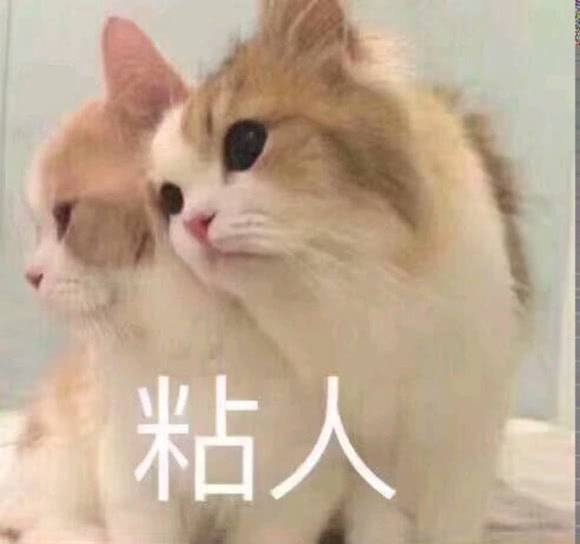 粘人