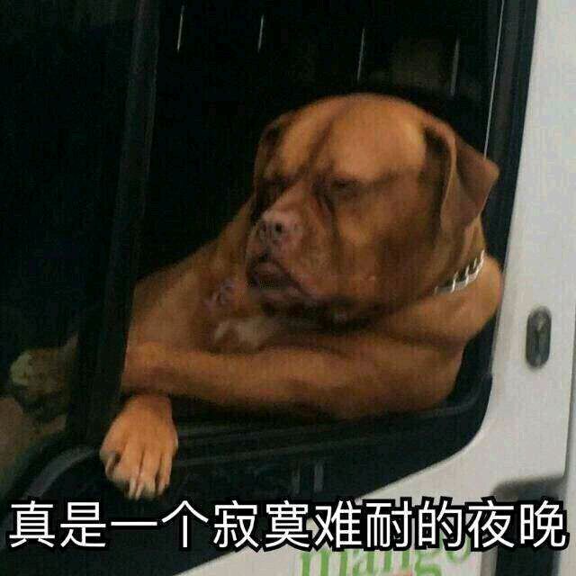 真是一个寂寞难耐的夜晚