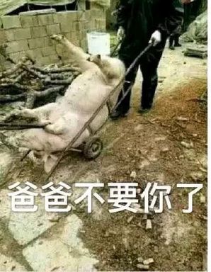 爸爸不要你了