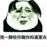 我一脚给你踹你妈逼里去