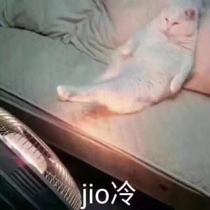 jio冷