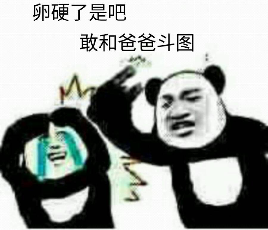 卵硬了是吧，敢和爸爸斗图