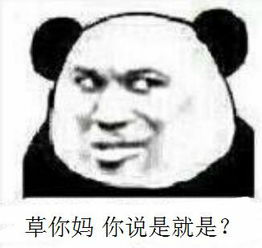 草你妈你说是就是？